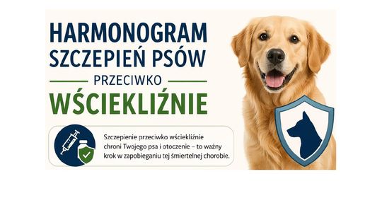 HARMONOGRAM SZCZEPIENIA PSÓW PRZECIWKO WŚCIEKLIŹNIE W GMINIE MŁYNARY W 2026 ROKU