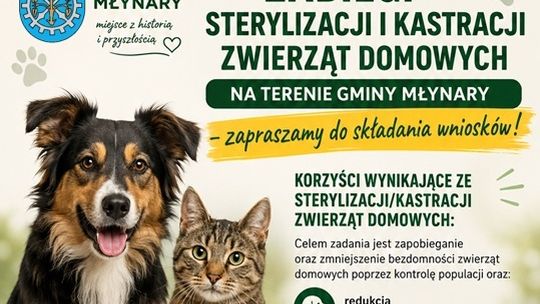 Zabiegi sterylizacji i kastracji zwierząt domowych na terenie Gminy Młynary