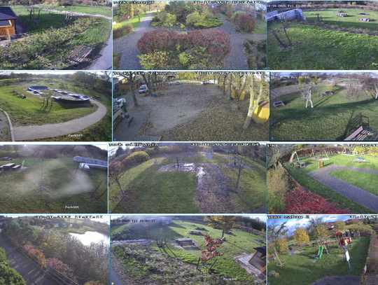 🚫 APEL O ZACHOWANIE CZYSTOŚCI W PARKU ZA MŁYNEM 🚫