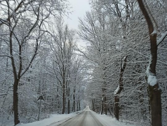 Brak odbioru odpadów spowodowany trudnymi warunkami na drogach.
