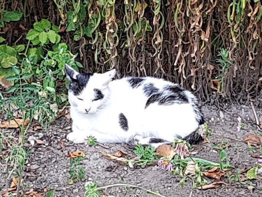 Informacja Informacja