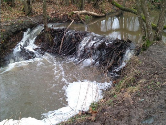 Informacja z wizji terenowych wzdłuż rzek gminnych