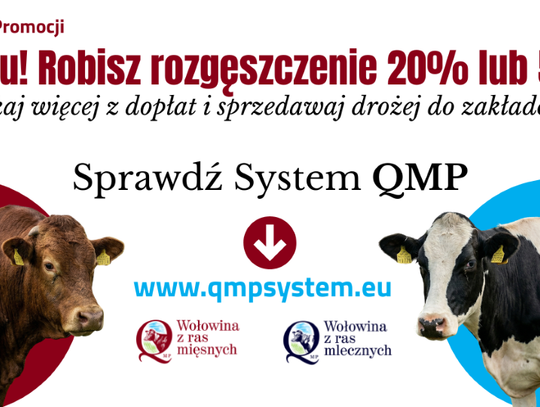 Informacyja dotycząca możliwości uzyskania wsparcia dla rolników utrzymujących bydło w standardzie QMP w ramach ekoschematu „Dobrostan zwierząt”.