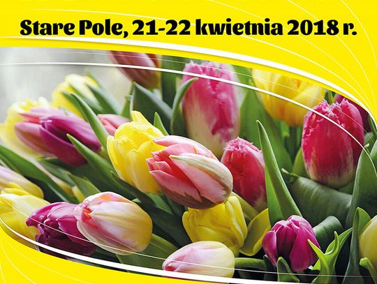 IX Wiosenne Targi Ogrodnicze