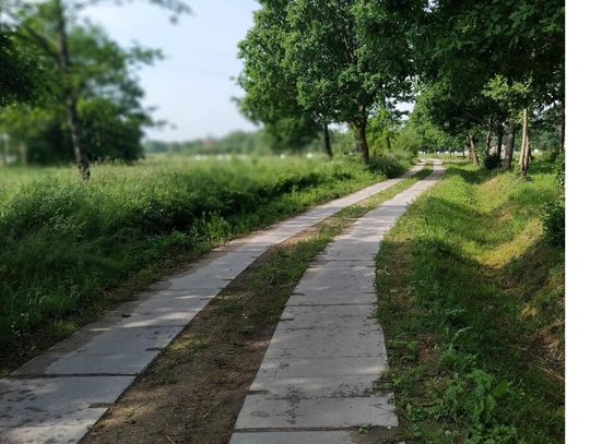 Kolejne inwestycje w infrastrukturę drogową na terenie Gminy Młynary z dofinansowaniem Kolejne inwestycje w infrastrukturę drogową na terenie Gminy Młynary z dofinansowaniem