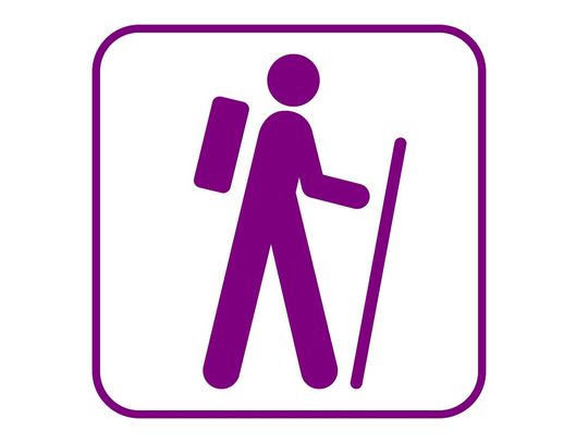 Marsz Nordic Walking w Parku Leśnym Bażantarnia. 
