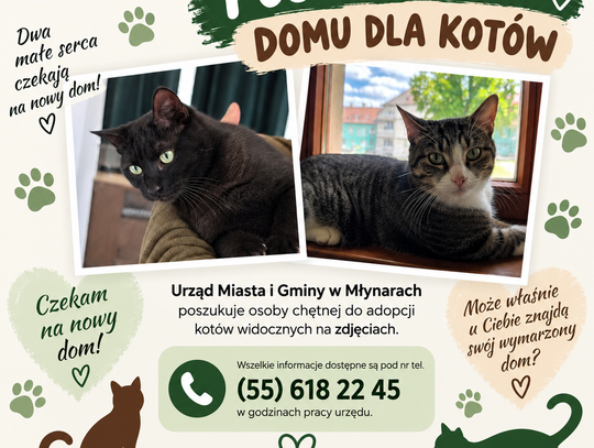 poszukiwany do dla dwóch kotów