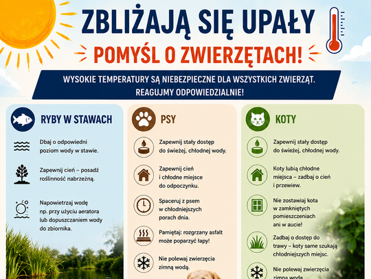 Podaczas upałów pomyśl o zwierzętach