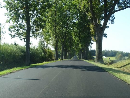 Prowadzimy działania zmierzające do poprawy stanu dróg wojewódzkich (505 i 509) oraz dróg powiatowych w obrębie gminy Młynary.