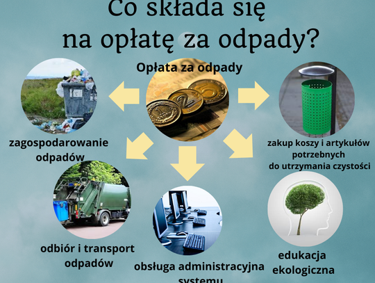 Śmieciowa rewolucja.