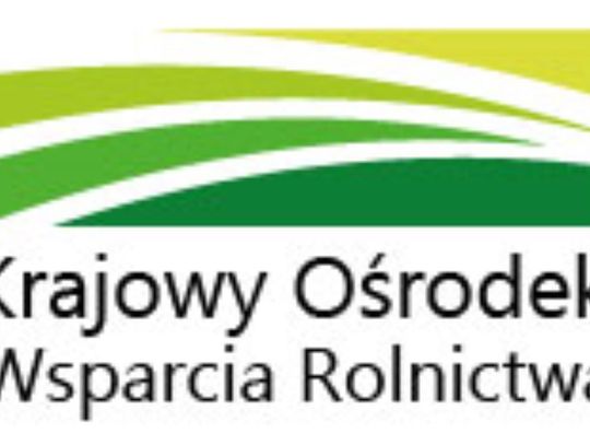 Stypendia pomostowe dla maturzystów.