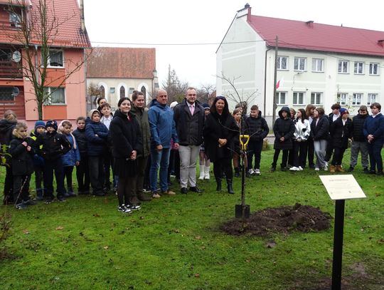 Święto Niepodległości w Gminie Młynary – razem dla Ojczyzny. Święto Niepodległości w Gminie Młynary – razem dla Ojczyzny.