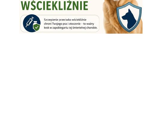 Terminy szczepień przeciwko wściekliźnie.