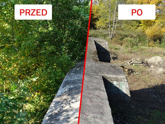 Tworzymy "Park za młynem"