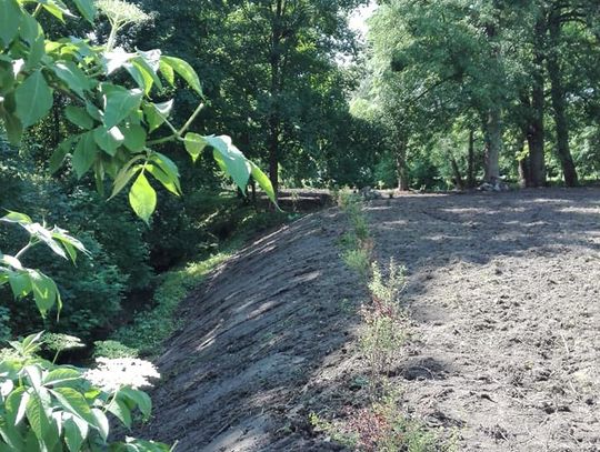 Tworzymy „Park za młynem” – ciąg dalszy Tworzymy „Park za młynem” – ciąg dalszy