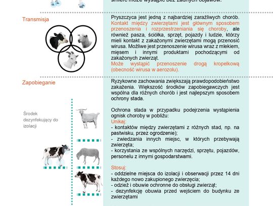 Uwaga na pryszczycę zwierząt! - ulotka informacyjna