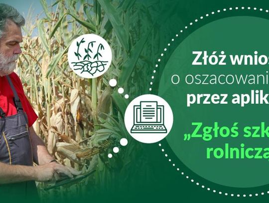 Uwaga ROLNICY! Ponownie przedłużony termin składania wniosków o oszacowanie szkód spowodowanych wystąpieniem suszy.
