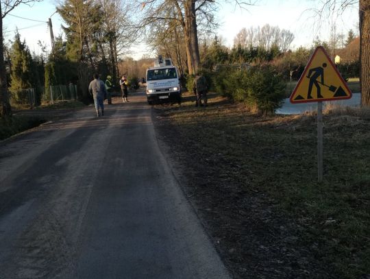 Wycinka drzew na terenie Gminy Młynary