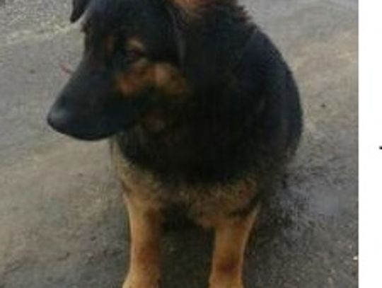 Za nami IV wspólna Wigilia Świąt Bożego Narodzenia!