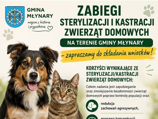 Zabiegi sterylizacji i kastracji zwierząt domowych na terenie Gminy Młynary