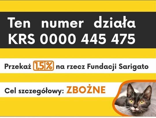 ZBIÓRKA NA RZECZ SCHRONISKA