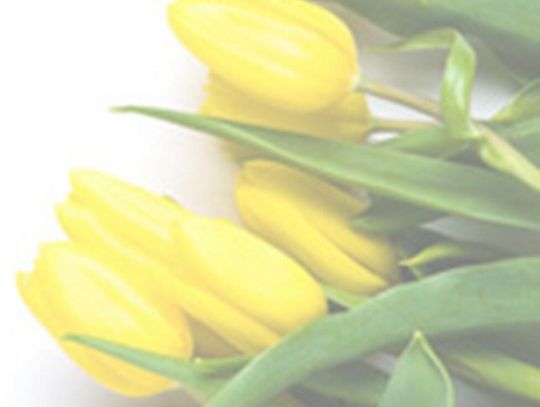 Życzenia z okazji Dnia Pracownika Gospodarki Komunalnej Życzenia z okazji Dnia Pracownika Gospodarki Komunalnej