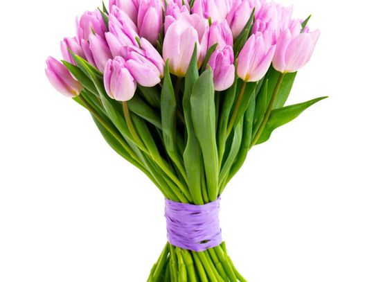 Życzenia z okazji Dnia Samorządowca