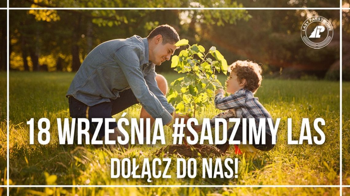 Akcja #sadziMY Akcja #sadziMY