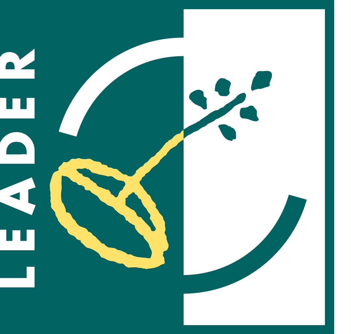 Informacja Informacja