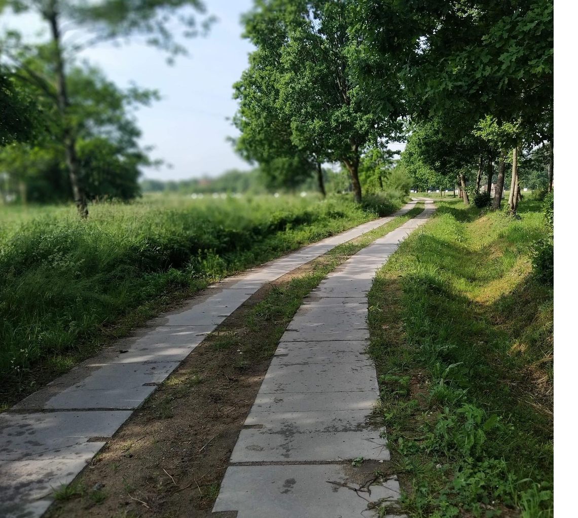 Kolejne inwestycje w infrastrukturę drogową na terenie Gminy Młynary z dofinansowaniem Kolejne inwestycje w infrastrukturę drogową na terenie Gminy Młynary z dofinansowaniem