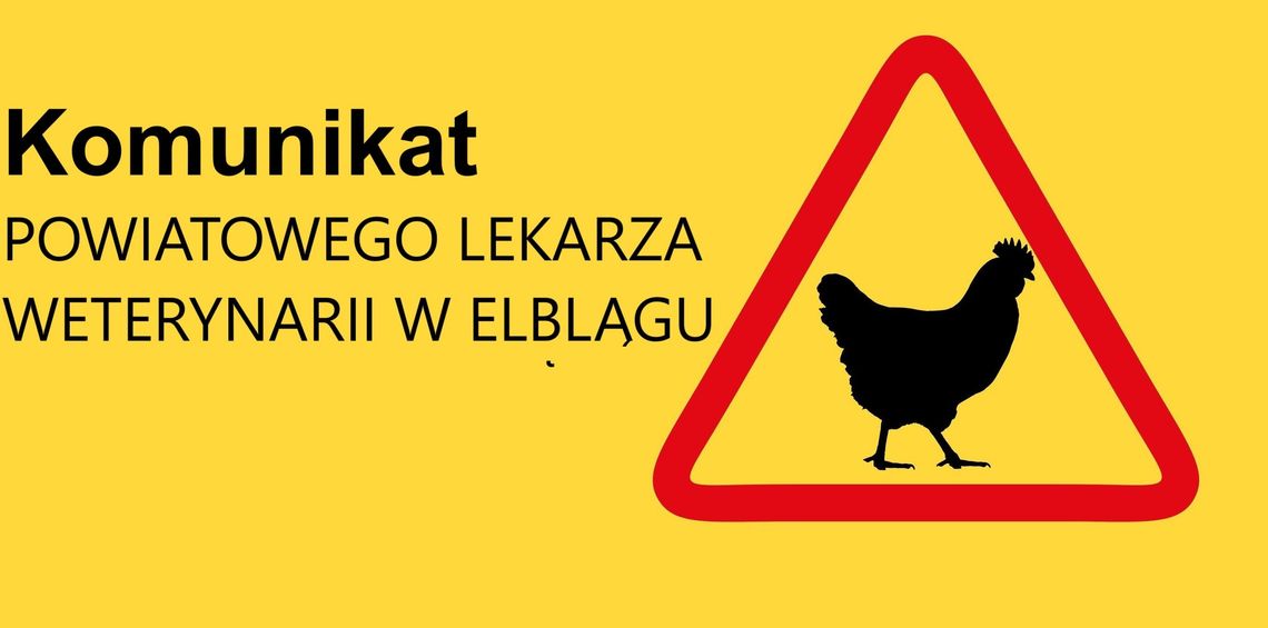 Komunikat w sprawie zakazu organizowania wystaw, pokazów, targów drobiu Komunikat w sprawie zakazu organizowania wystaw, pokazów, targów drobiu