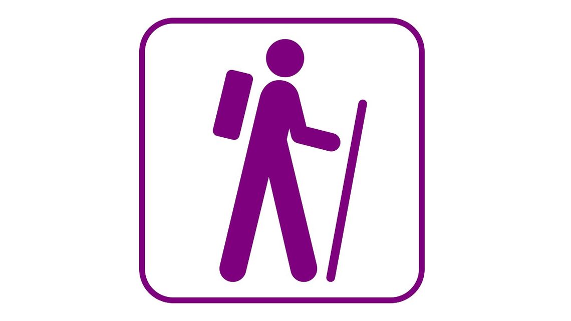 Marsz Nordic Walking w Parku Leśnym Bażantarnia.  Marsz Nordic Walking w Parku Leśnym Bażantarnia.