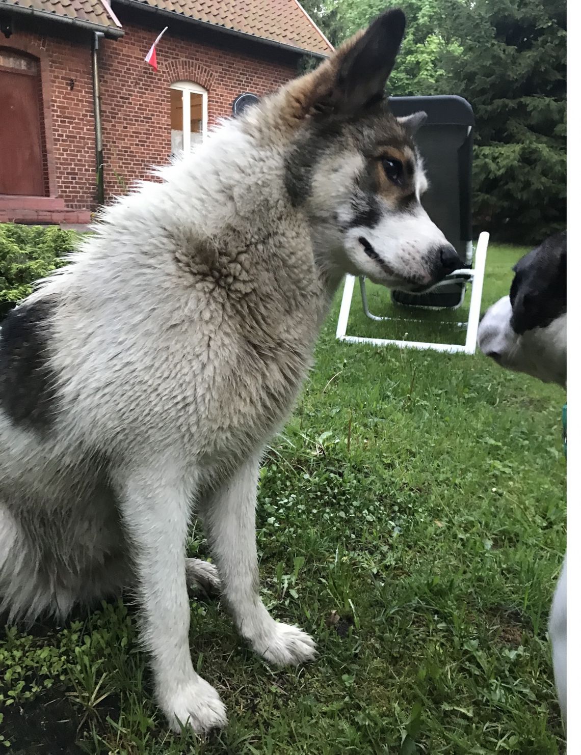 Ogłoszenie Ogłoszenie