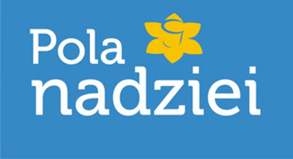 POLA NADZIEI 2019 POLA NADZIEI 2019