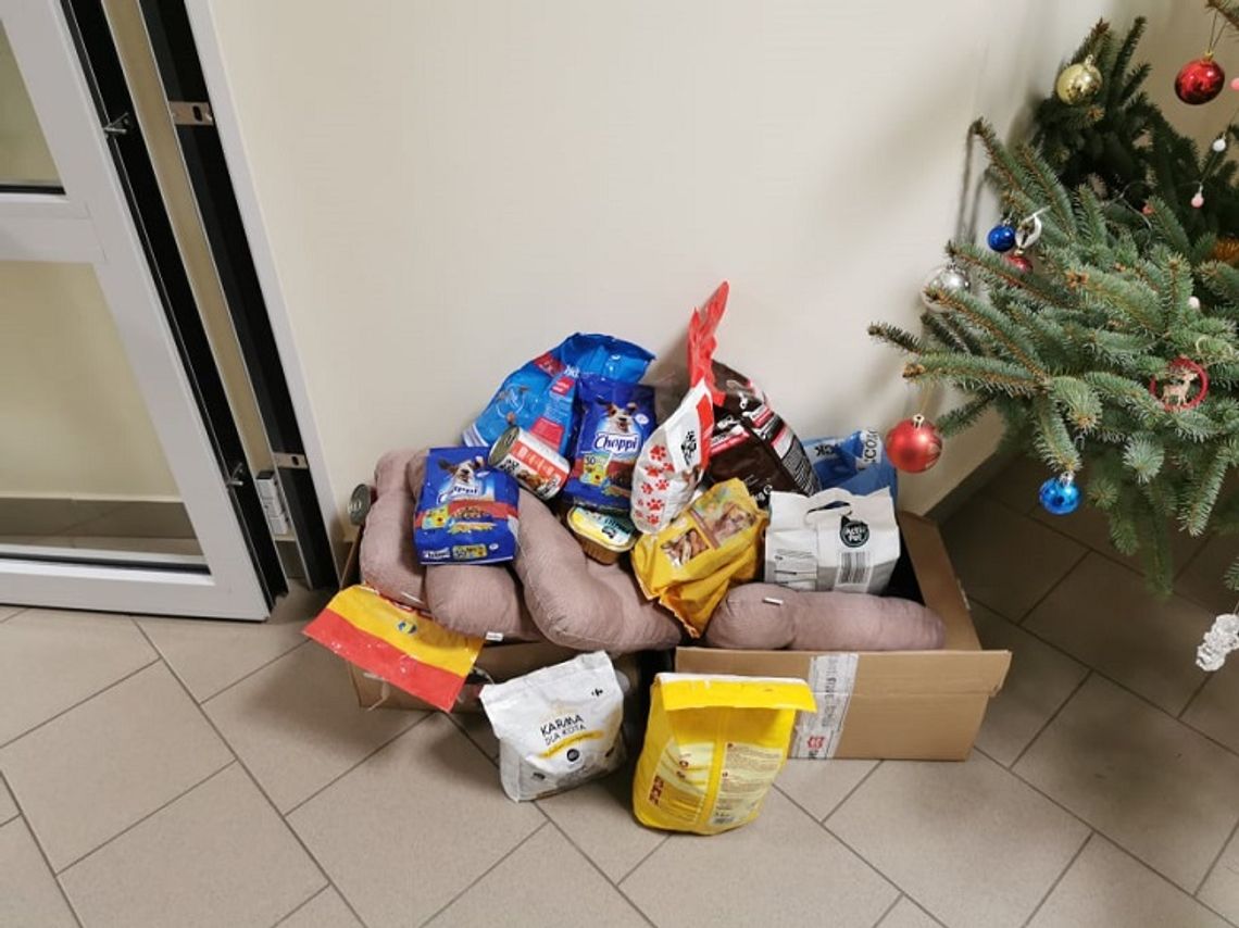 POMOC DLA BEZDOMNYCH ZWIERZĄT POMOC DLA BEZDOMNYCH ZWIERZĄT