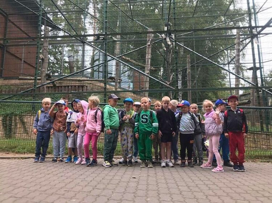 "PSZCZÓŁKI" W ZOO "PSZCZÓŁKI" W ZOO