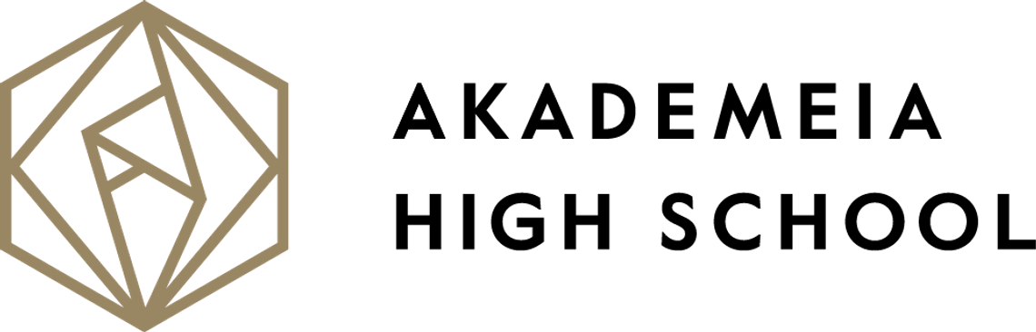 Stypendium Akademeia High School Stypendium Akademeia High School