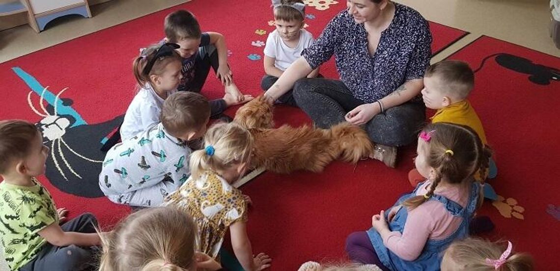 ŚWIATOWY DZIEŃ KOTA ŚWIATOWY DZIEŃ KOTA
