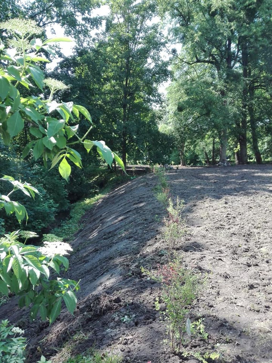 Tworzymy „Park za młynem” – ciąg dalszy