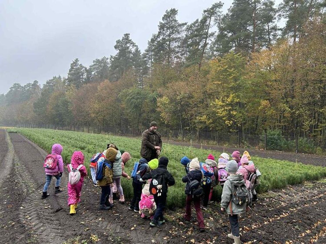 WYCIECZKA DO LASU WYCIECZKA DO LASU