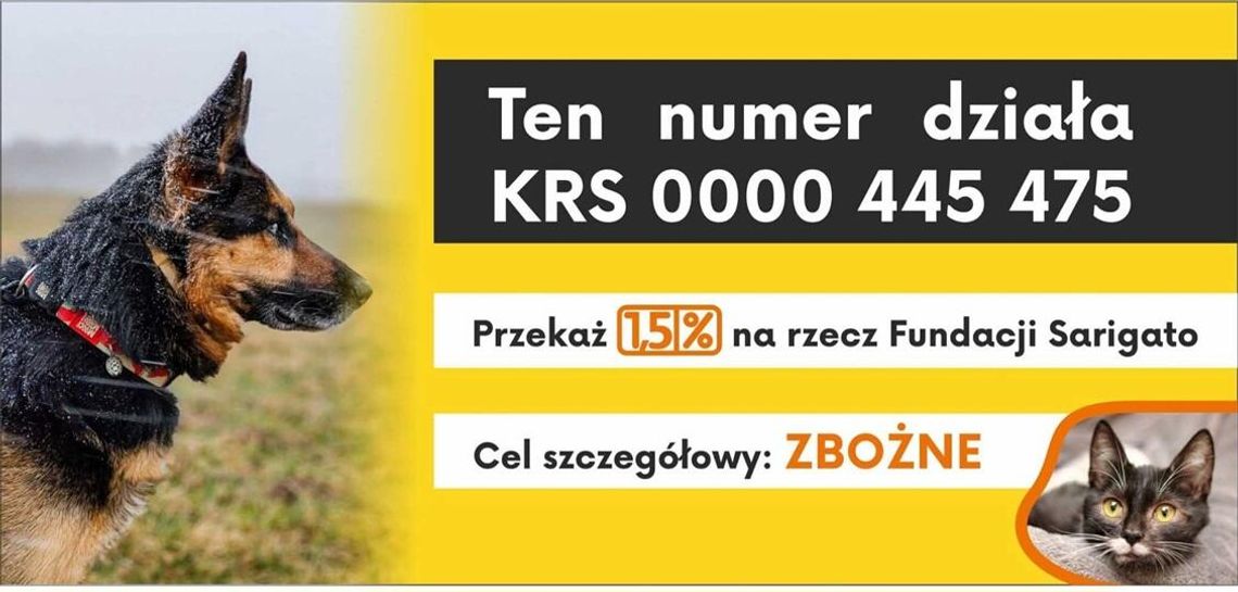 ZBIÓRKA NA RZECZ SCHRONISKA