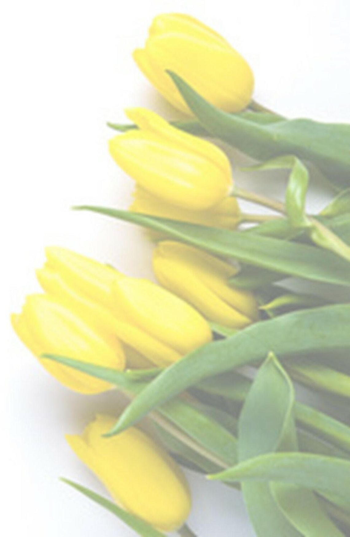 Życzenia z okazji Dnia Pracownika Gospodarki Komunalnej Życzenia z okazji Dnia Pracownika Gospodarki Komunalnej