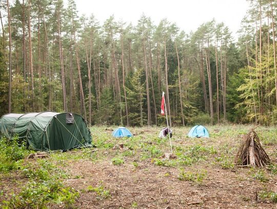 Manewry pożarnicze "LAS 2021" w Gminie Młynary Manewry pożarnicze "LAS 2021" w Gminie Młynary