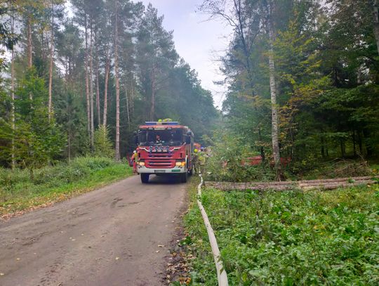 Ćwiczenia ratowniczo-gaśnicze „Baza 2022”   Ćwiczenia ratowniczo-gaśnicze „Baza 2022”